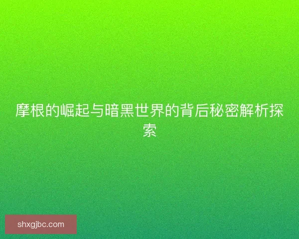 摩根的崛起与暗黑世界的背后秘密解析探索 摩根的崛起与暗黑世界的背后秘密解析探索