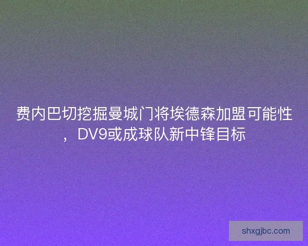 费内巴切挖掘曼城门将埃德森加盟可能性，DV9或成球队新中锋目标