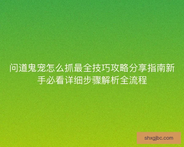 问道鬼宠怎么抓最全技巧攻略分享指南新手必看详细步骤解析全流程
