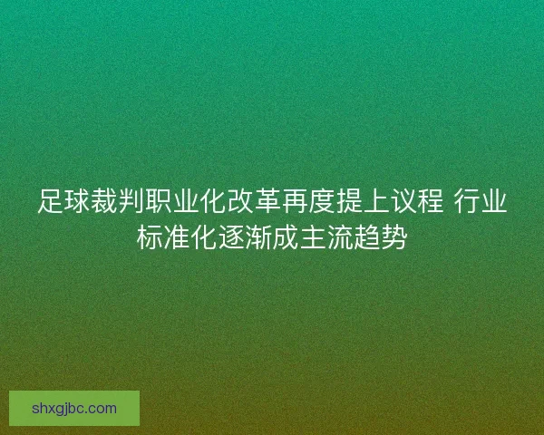 足球裁判职业化改革再度提上议程 行业标准化逐渐成主流趋势