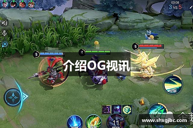 介绍OG视讯